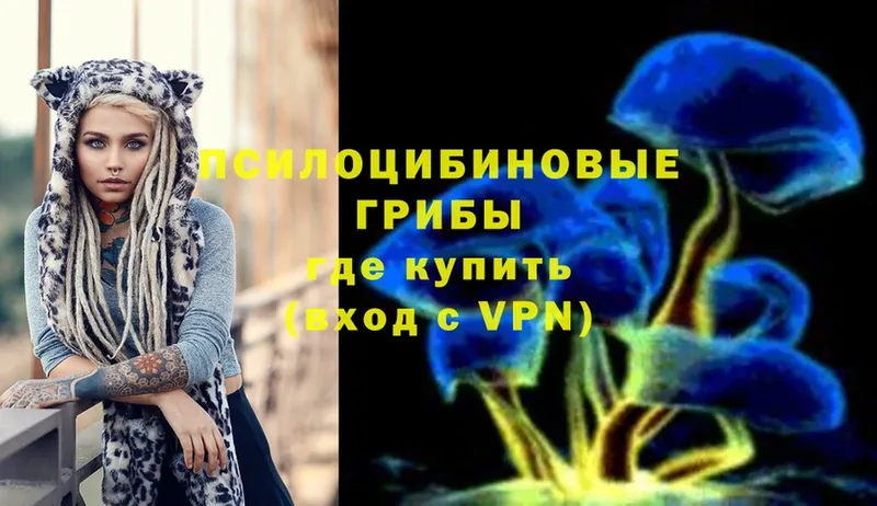 закладка  blacksprut как зайти  Псилоцибиновые грибы Psilocybe  Лысьва 