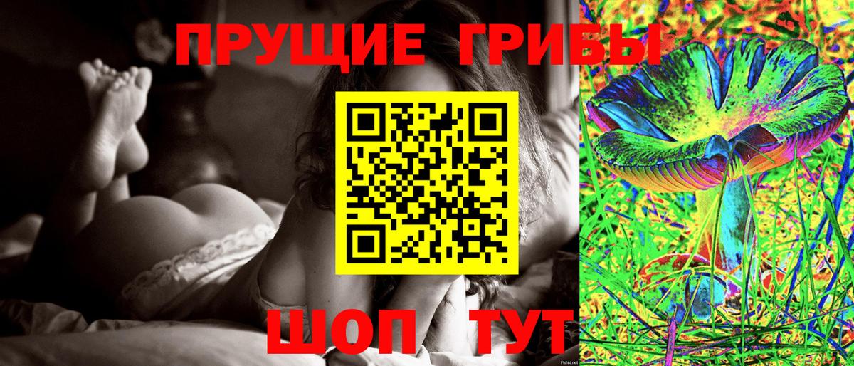 Лысьва  купить наркотик  Вход с VPN  Псилоцибиновые грибы GOLDEN TEACHER 