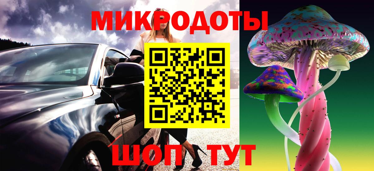 Галлюциногенные грибы Cubensis Лысьва