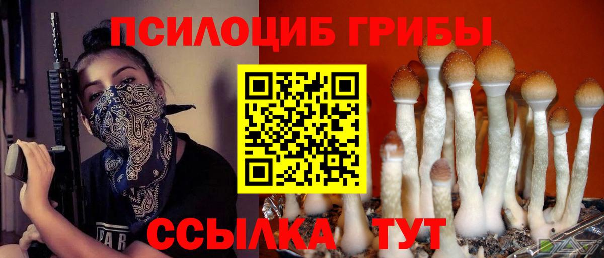 Псилоцибиновые грибы MAGIC MUSHROOMS Лысьва